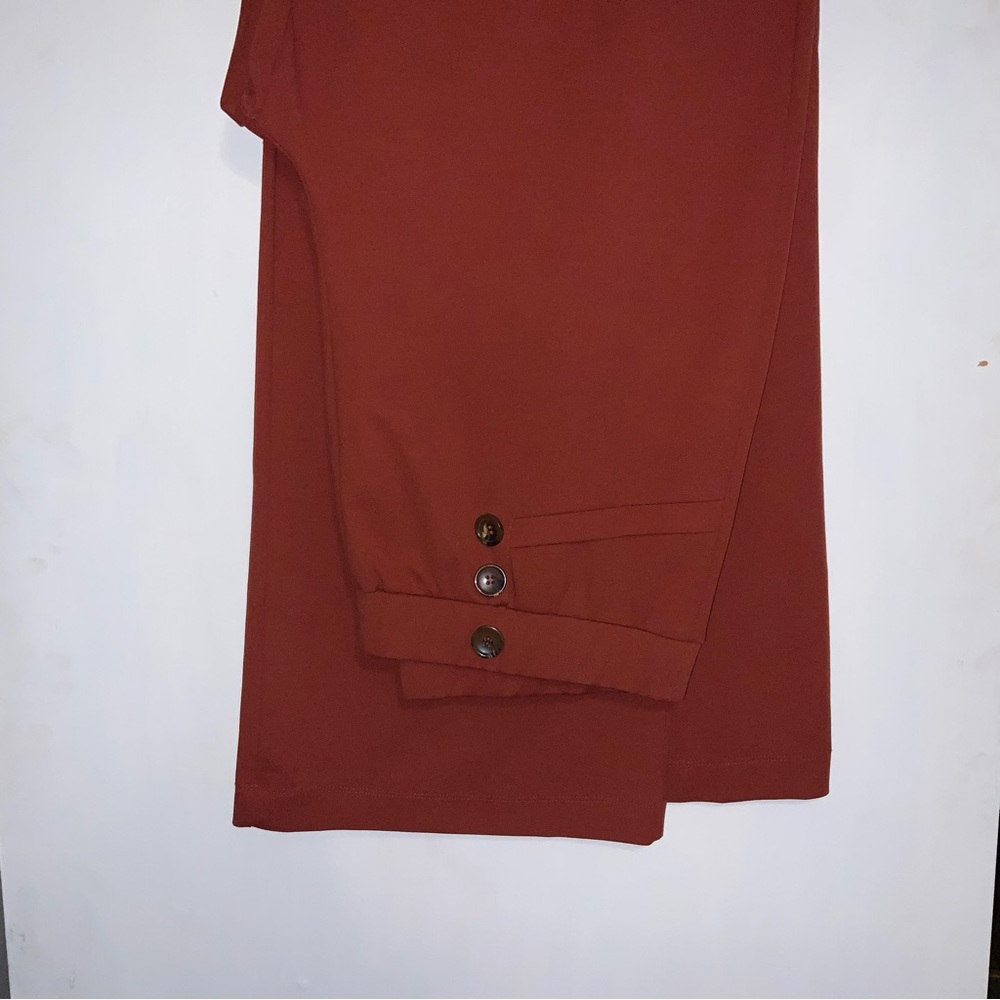 Burnt orange dress pants